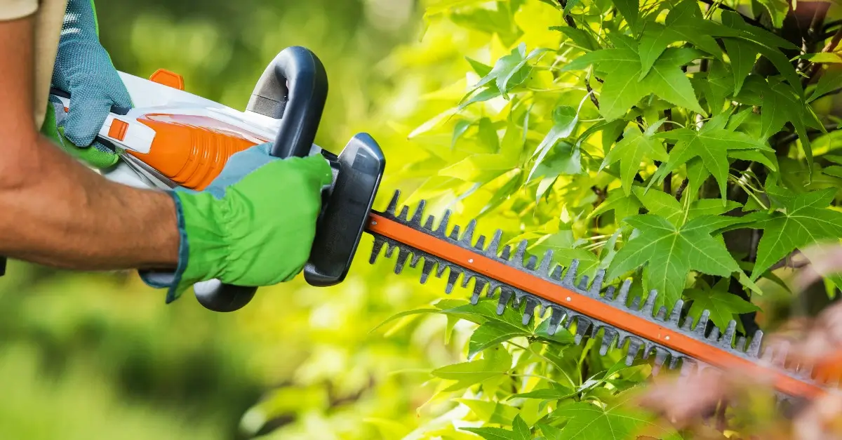 5 Best Hedge Trimmers Of 2025 For Garden Mastery – Buyer’s Guide & Reviews